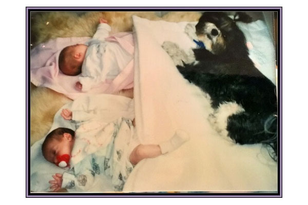Peta Image Dog With Babies