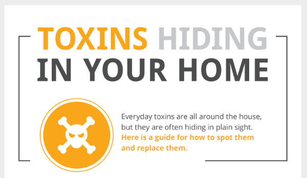 Toxins Hiding in your Home