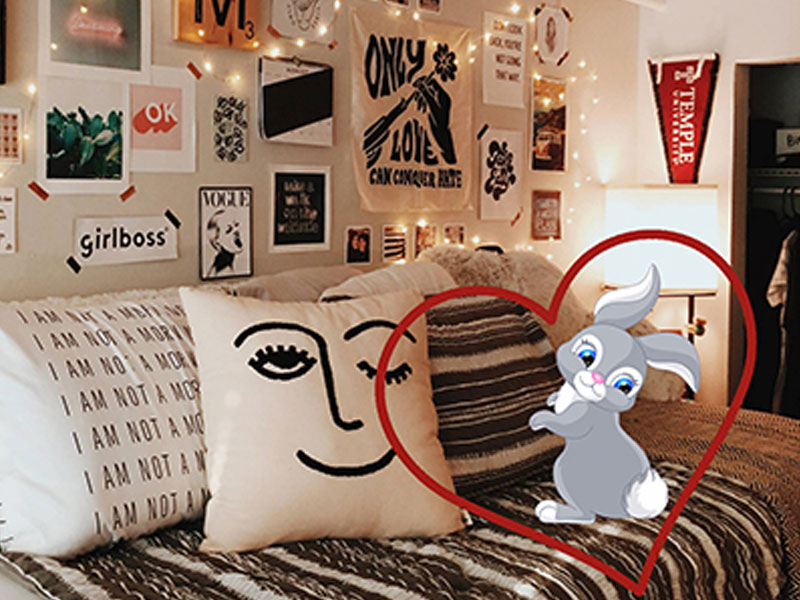 Art Filled Dorm Bunny