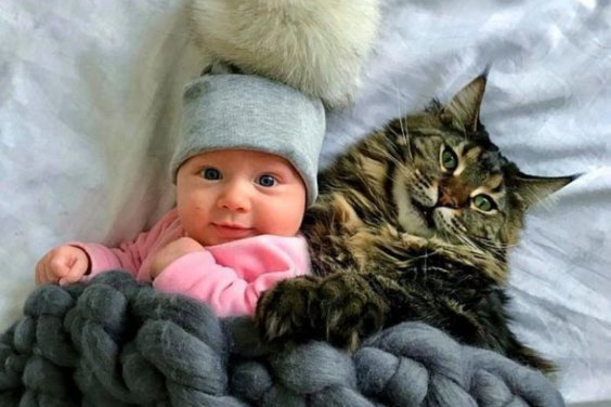 Why Having a Pet is Great for Babies