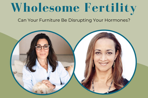 Dimare Design Wholesome Fertility Podcast Featured