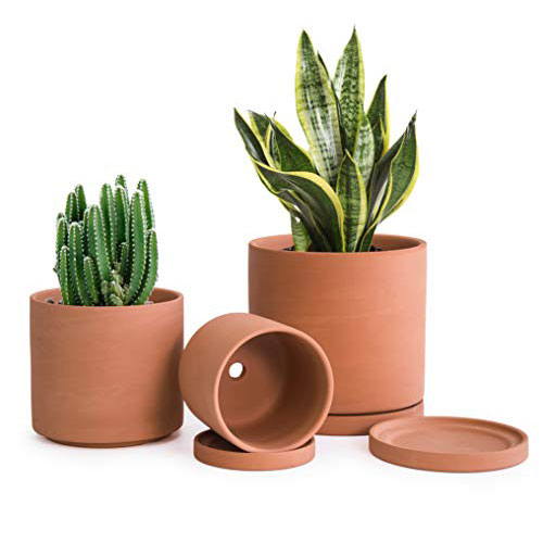 Terracotta Pots For Plants 4.2 Inch 5.3 Inch 6.5 Inch Succulent Planter Pot With Drainage And Saucer 40 A S 1