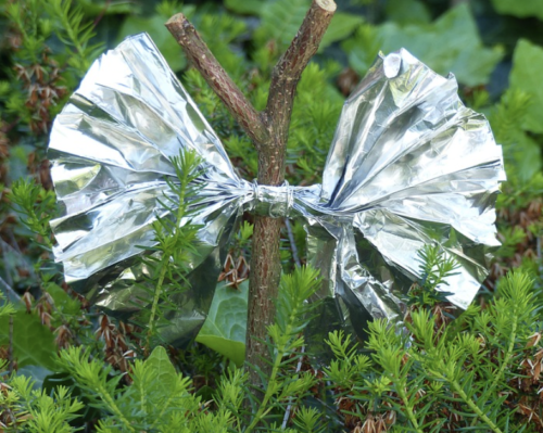 14 DIY Tips To Organic Pesticide Free Gardening